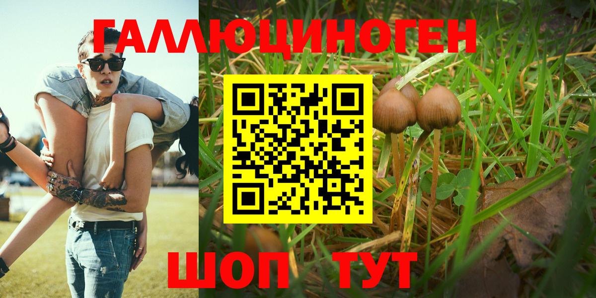 Лысьва  Псилоцибиновые грибы GOLDEN TEACHER  Вход с VPN  Галлюциногенные грибы Psilocybine cubensis 